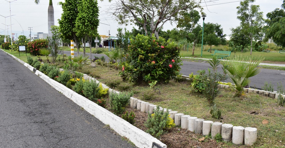 Imades presenta modelo de “Jardín de Lluvia” | El Noticiero de Manzanillo