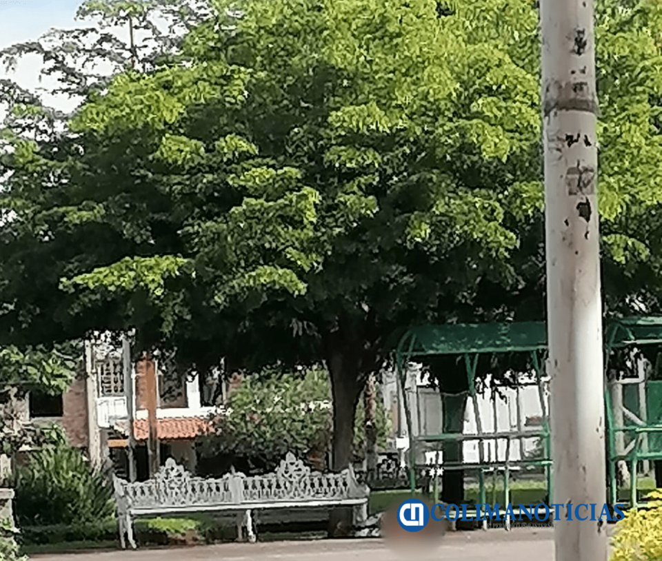 Otro hombre ejecutado, ahora en el jardín de Villa Izcalli