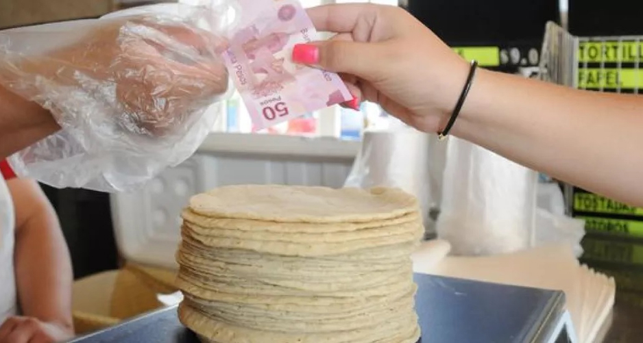 Precio de la tortilla seguirá al alza en 2023 | El Noticiero de Manzanillo