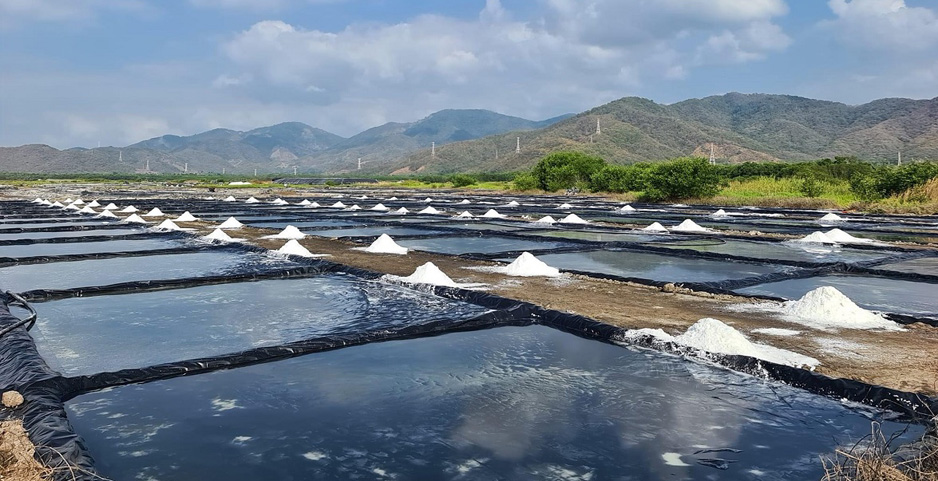 Salineros se preparan para la nueva zafra | El Noticiero de Manzanillo