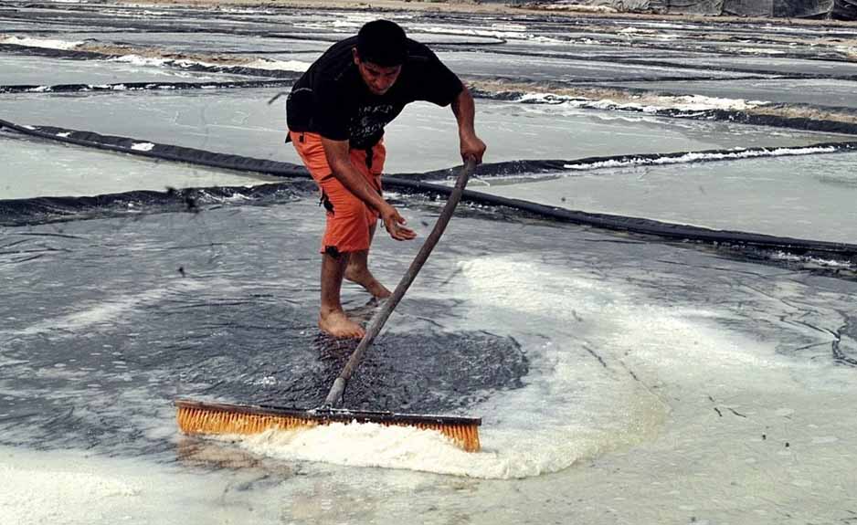 Darán certificado de origen a sal de Colima | El Noticiero de Manzanillo