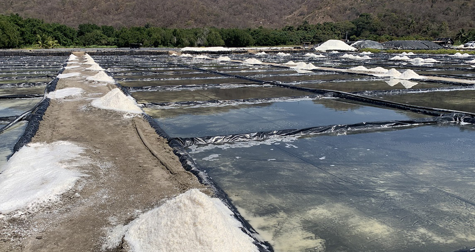 Comienzan la cosecha de sal | El Noticiero de Manzanillo