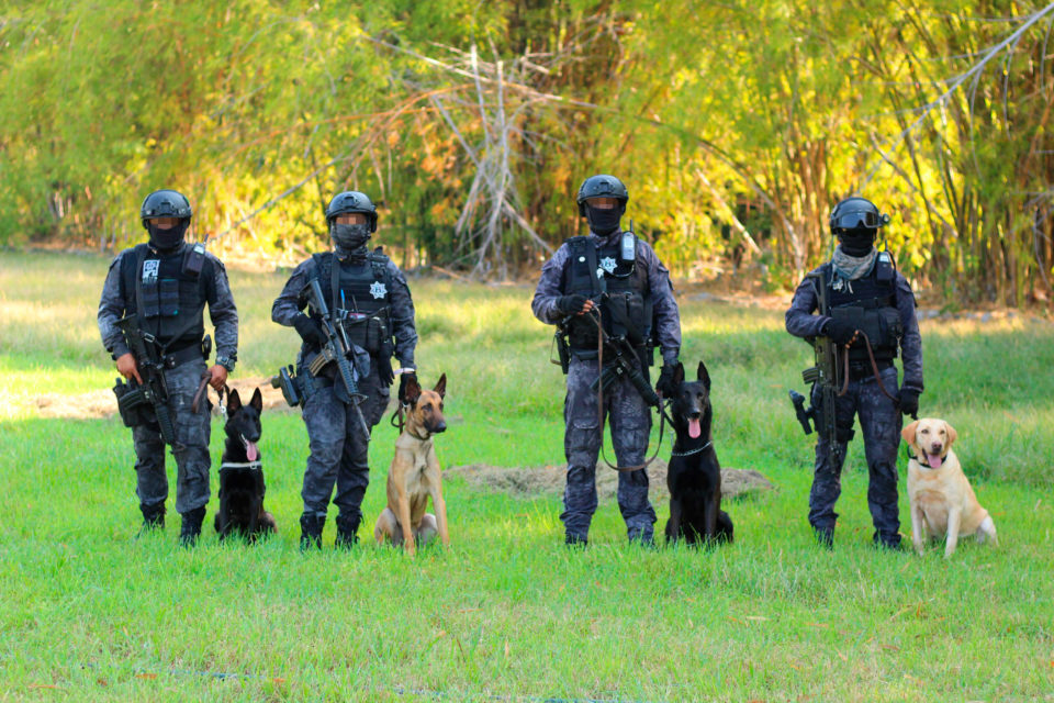 Policía Canina | AFmedios .