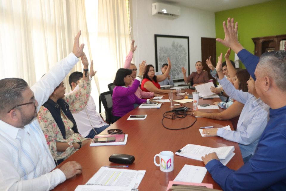 Cabildo aprueba mayor inversión para generar Entornos Seguros e iluminar Villa de Álvarez | AFmedios .