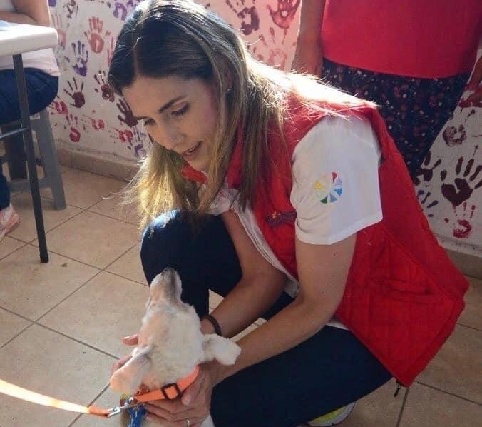 Concluye con éxito campaña de esterilización y donación de mascotas