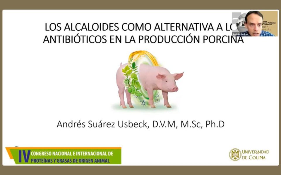 Enseñan uso de alcaloides para mejorar producción animal