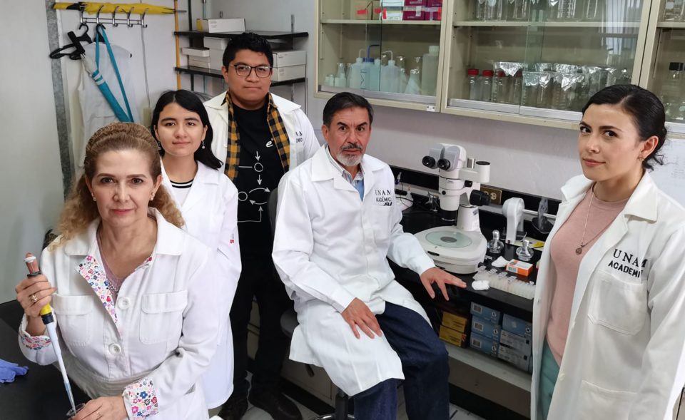 Descubre universitario molécula que podría ser clave para luchar contra obesidad | AFmedios .