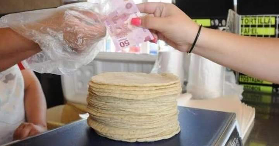 Inminente aumento al precio de la tortilla | El Noticiero de Manzanillo