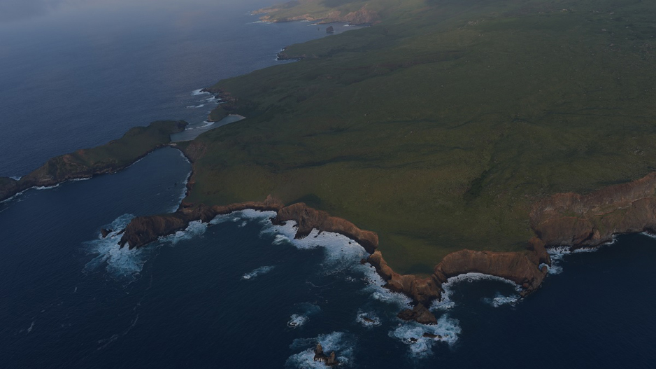 Ya se planteó hacer visitas turísticas a Isla del Socorro | El Noticiero de Manzanillo