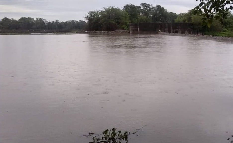 Cocodrilo ataca a pescador en laguna de Amela | El Noticiero de Manzanillo