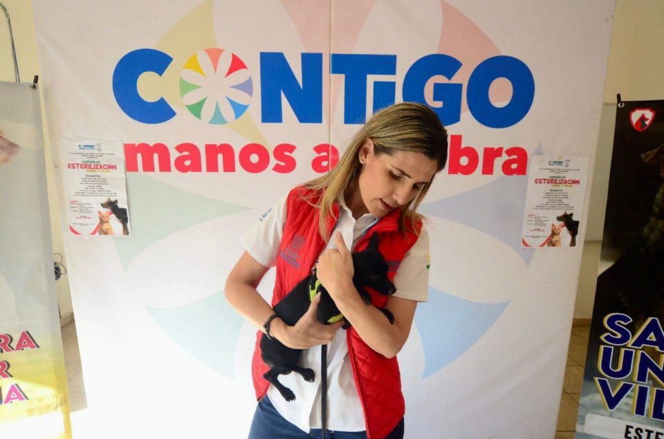 248 mascotas adoptadas durante administración de Margarita Moreno