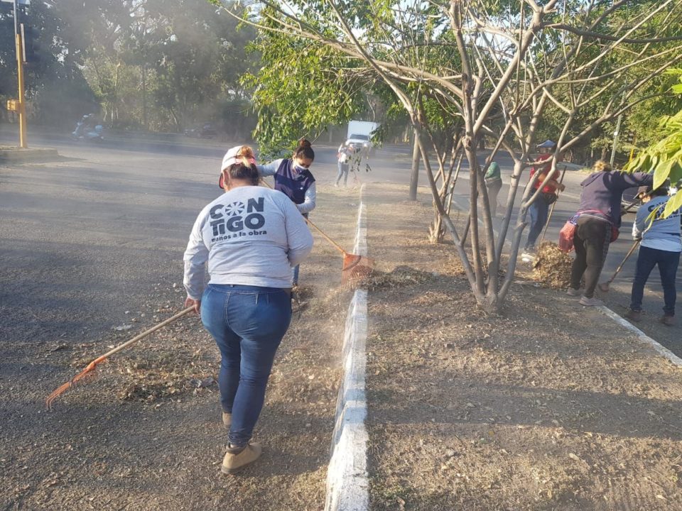 "Talacheando Contigo" recupera camellones de Prados del Sur