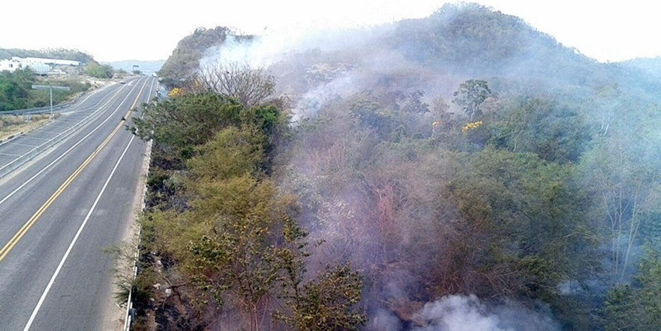 Se disparan los incendios; una docena en 3 días | El Noticiero de Manzanillo