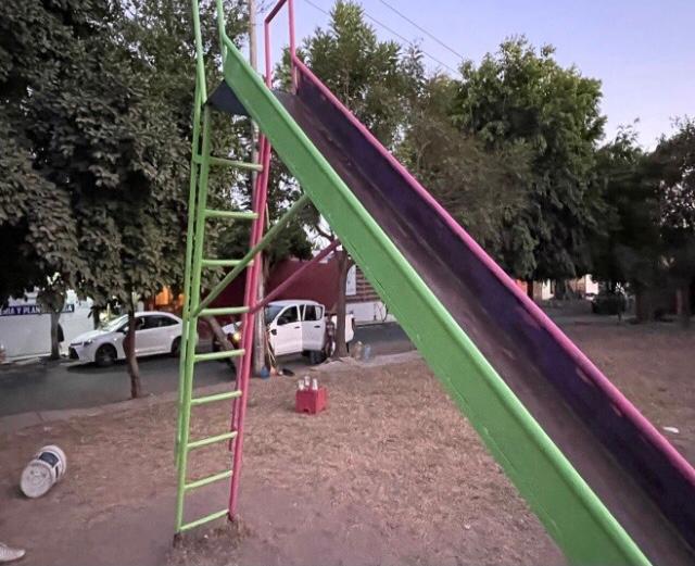 Agradecen en Loma Bonita a Tey por rescatar jardín de esa colonia