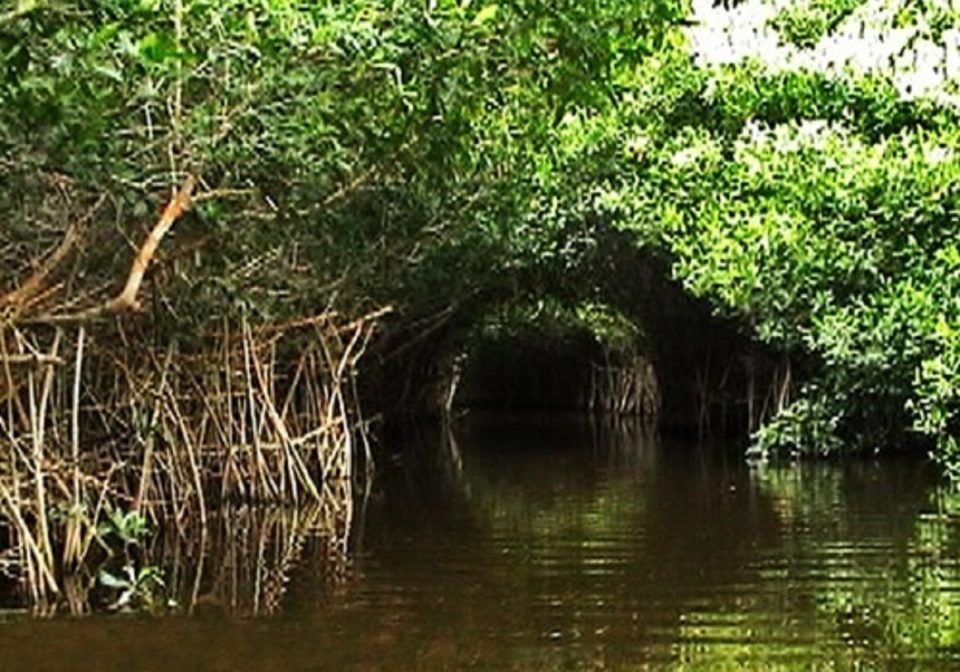 Imades conmemorará el Día Mundial de la Tierra en el tortugario de Cuyutlán | El Noticiero de Manzanillo