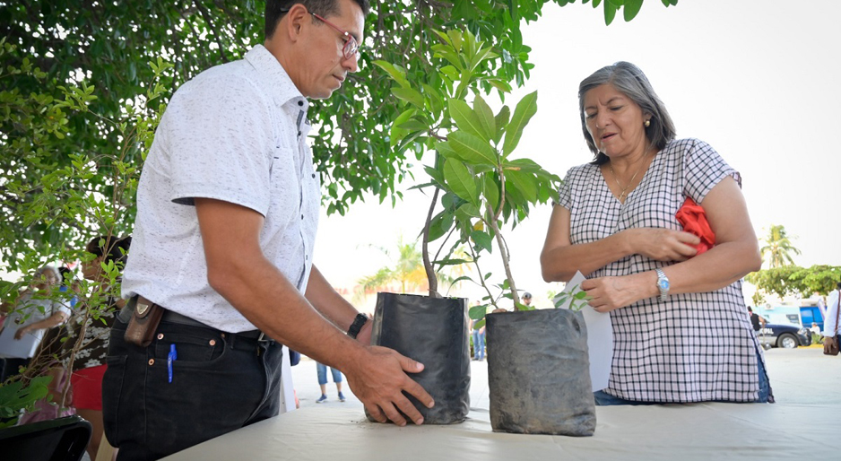 Celebran Día de la Tierra con adopción de 500 árboles frutales | El Noticiero de Manzanillo