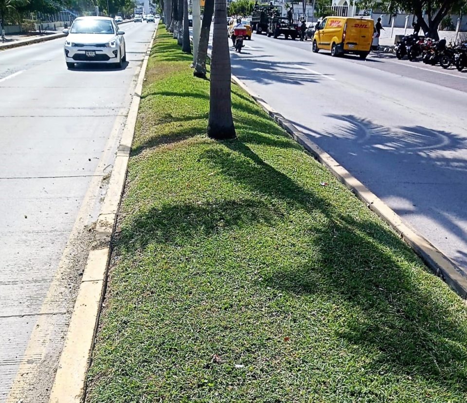 Embellece Ayuntamiento de Manzanillo áreas verdes