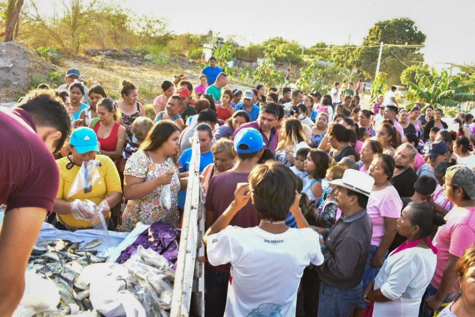 Gobierno de Colima y DIF Estatal entregan más de 10 toneladas de pescado a familias de los diez municipios