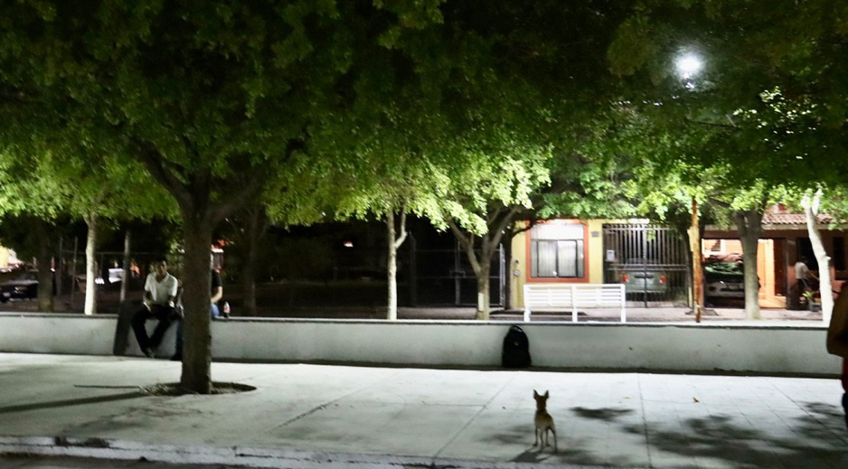 Instalan luminaria en Dos jardines de VdeA | El Noticiero de Manzanillo