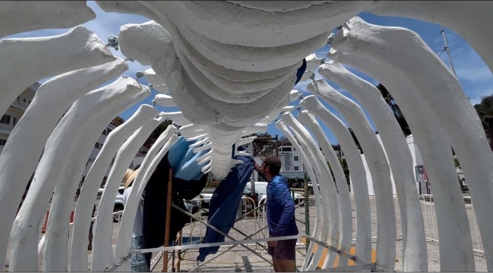 Hoy develarán la osamenta de la ballena en Manzanillo | El Noticiero de Manzanillo