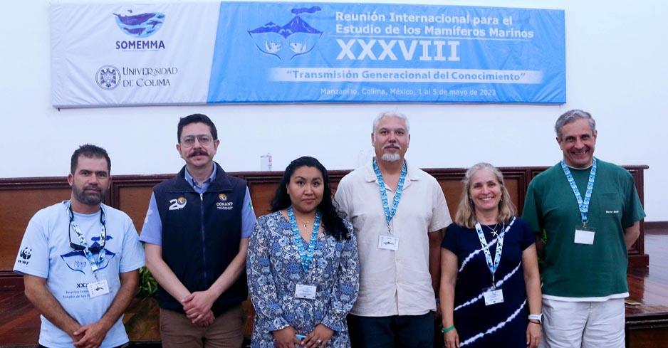 Analizan expertos cómo los puertos y barcos afectan vida de los mamíferos marinos | El Noticiero de Manzanillo