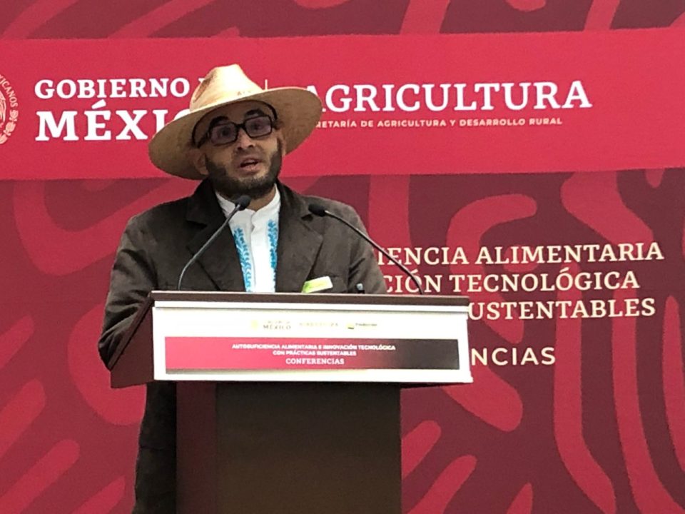 Congreso de Colima es pionero en brindar protección a las abejas: Alfredo Álvarez | El Noticiero de Manzanillo