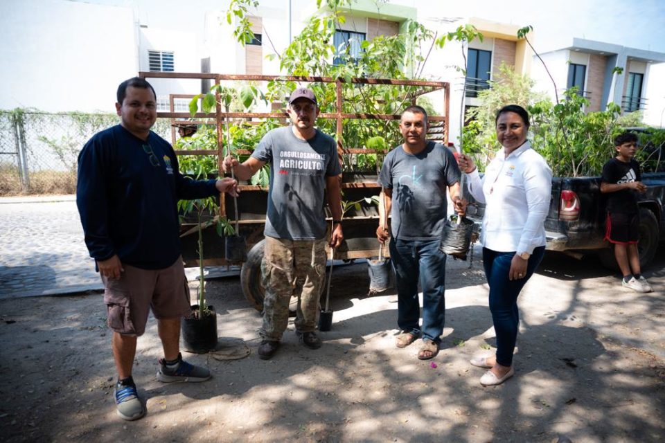 Griselda Martínez entrega 400 árboles para reforestar parcela de Veladero de los Otates