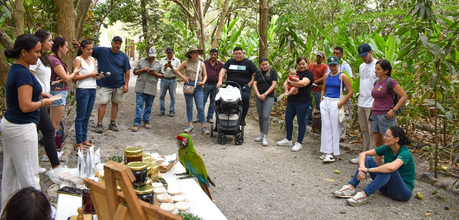 Imades crea conciencia de la importancia de las abejas | El Noticiero de Manzanillo