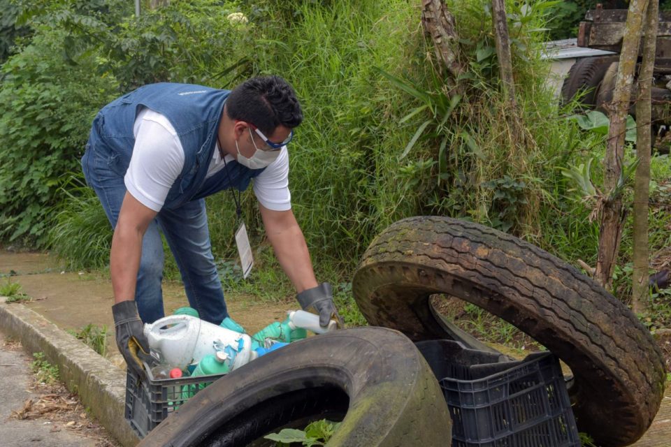 Salud Colima: con saneamiento básico se puede detener el dengue