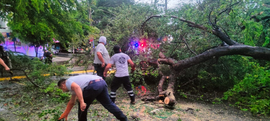 Solo daños menores dejó la lluvia de ayer en La Villa | El Noticiero de Manzanillo